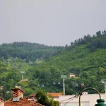 Dino